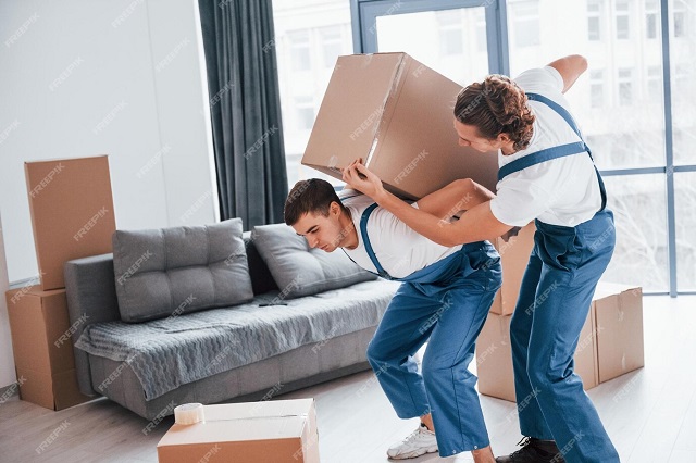 stěhování věcí